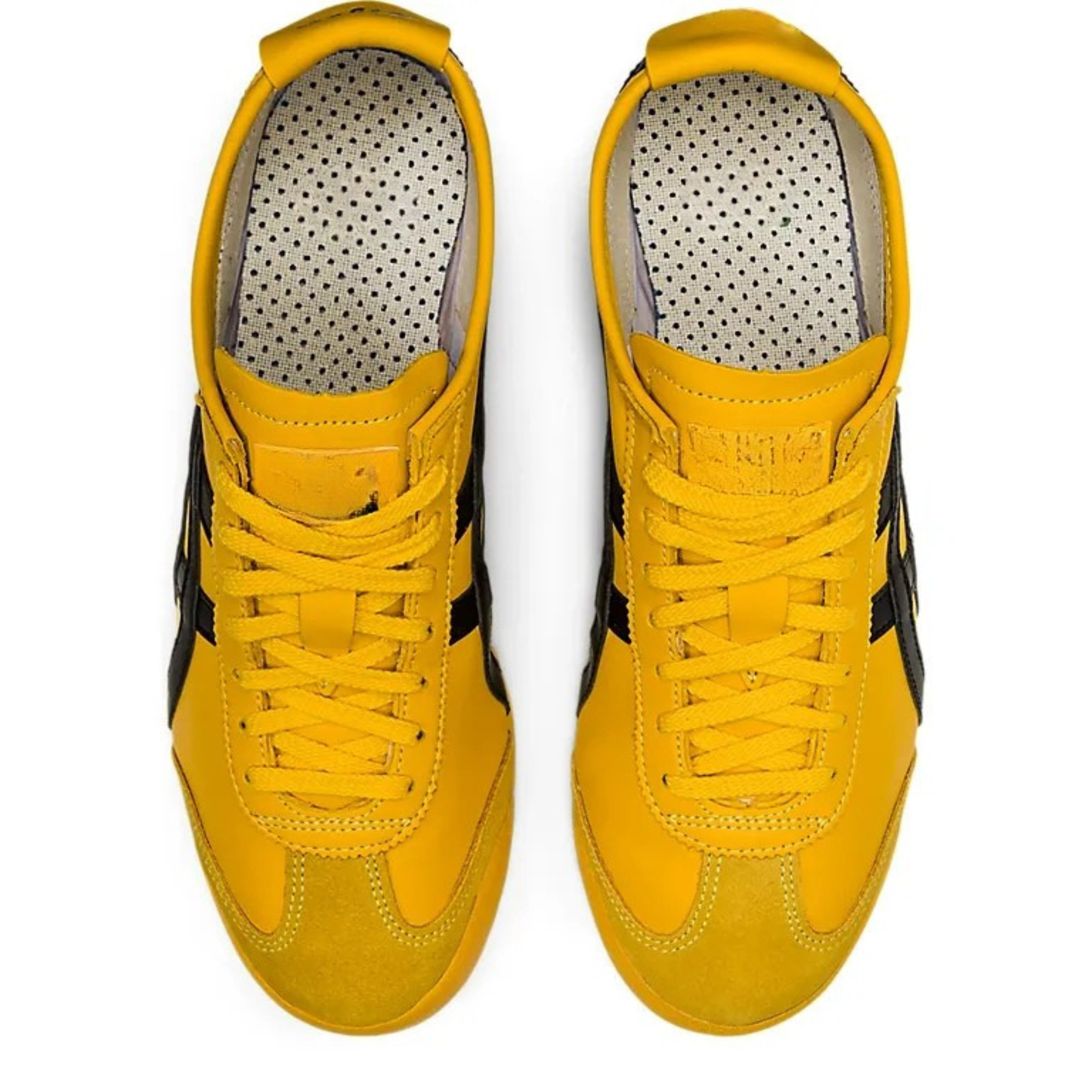 Tiger Mexico 66 Yellow  Black