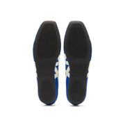 Gymnarina Dazzling Blue/Cream