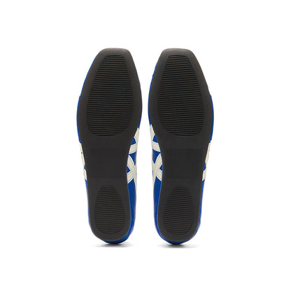 Gymnarina Dazzling Blue/Cream